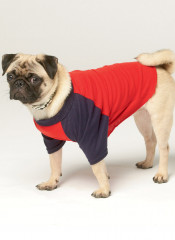 S9532 Simplicity Schnittmuster Hundepullover Hoodie EASY!